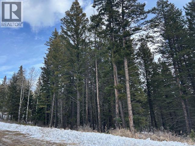 #8, 6308 25 Avenue, Coleman, Alberta  T0K 0M0 - Photo 7 - A2293351