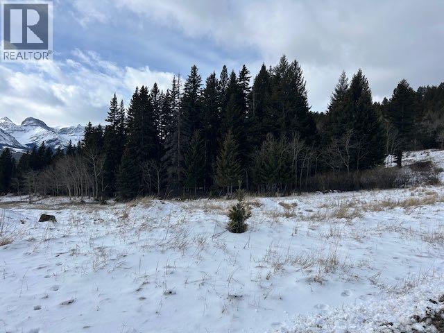 #8, 6308 25 Avenue, Coleman, Alberta  T0K 0M0 - Photo 4 - A2293351