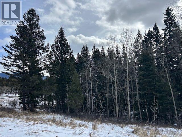 #8, 6308 25 Avenue, Coleman, Alberta  T0K 0M0 - Photo 10 - A2293351