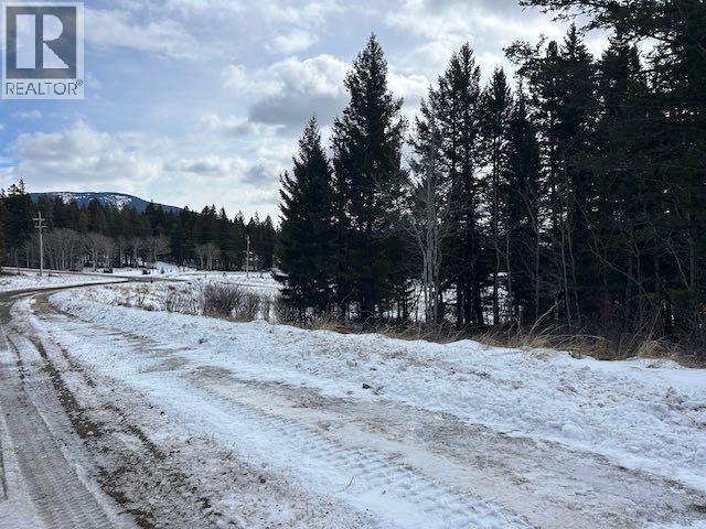 #8, 6308 25 Avenue, Coleman, Alberta  T0K 0M0 - Photo 12 - A2293351