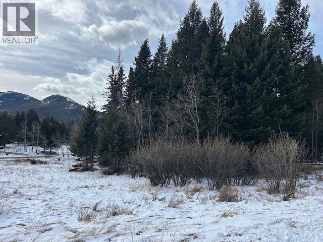 #8, 6308 25 Avenue, Coleman, Alberta  T0K 0M0 - Photo 15 - A2293351