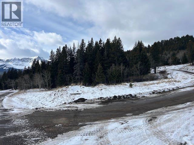 #8, 6308 25 Avenue, Coleman, Alberta  T0K 0M0 - Photo 17 - A2293351