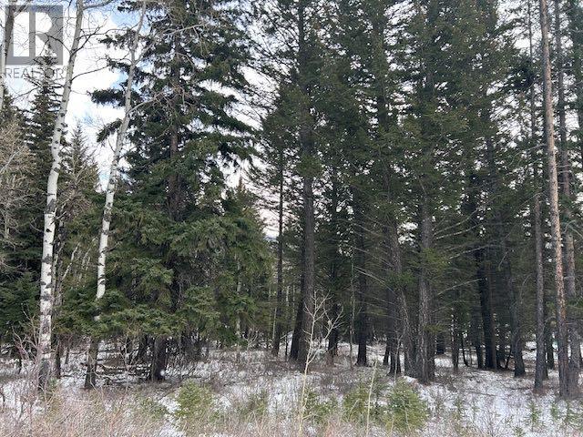 #8, 6308 25 Avenue, Coleman, Alberta  T0K 0M0 - Photo 8 - A2293351