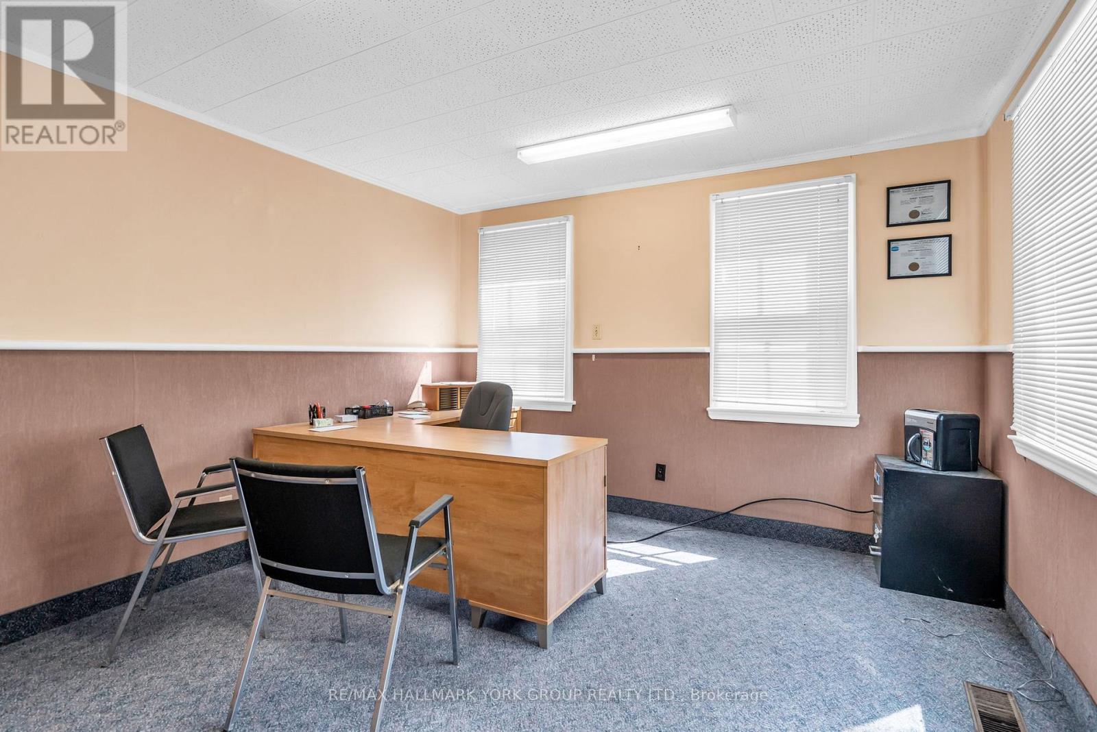 163 High Street, Georgina, Ontario  L0E 1R0 - Photo 26 - N12901388