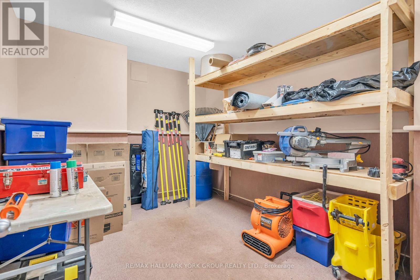 163 High Street, Georgina, Ontario  L0E 1R0 - Photo 27 - N12901388