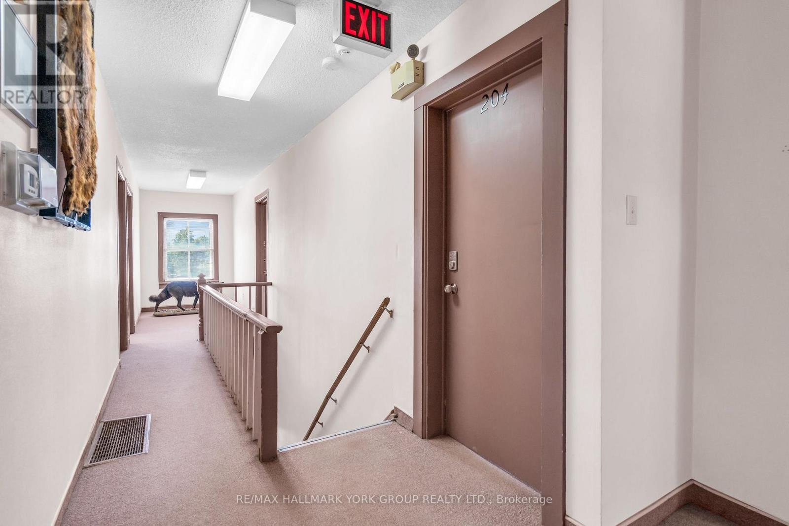 163 High Street, Georgina, Ontario  L0E 1R0 - Photo 28 - N12901388