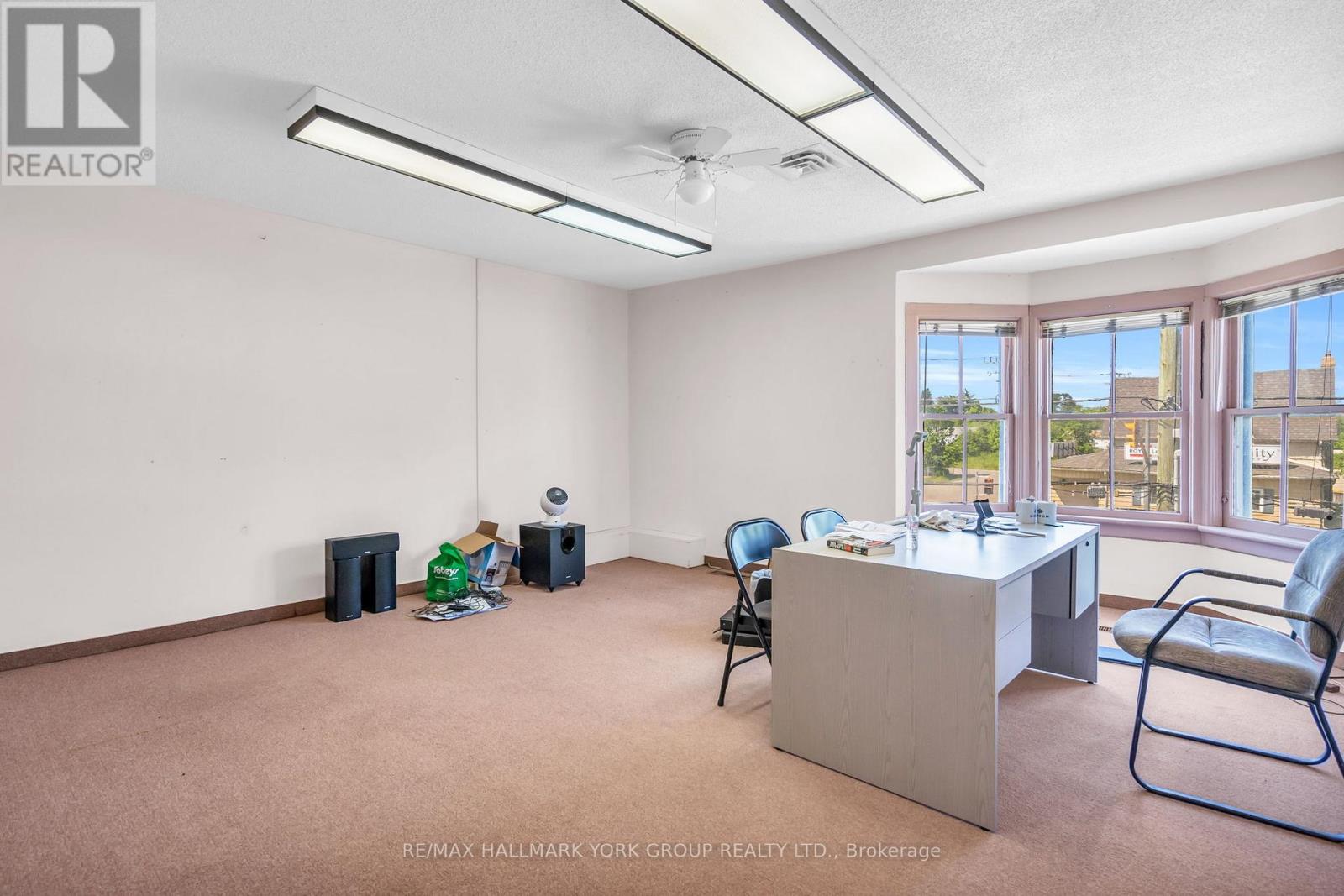 163 High Street, Georgina, Ontario  L0E 1R0 - Photo 29 - N12901388