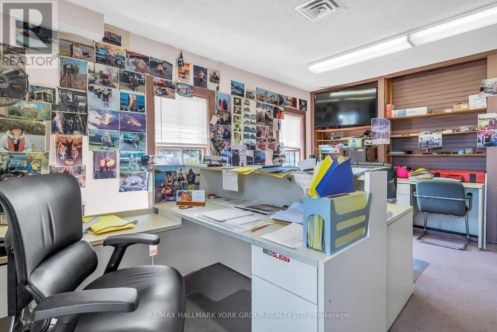 163 High Street, Georgina, Ontario  L0E 1R0 - Photo 36 - N12901388