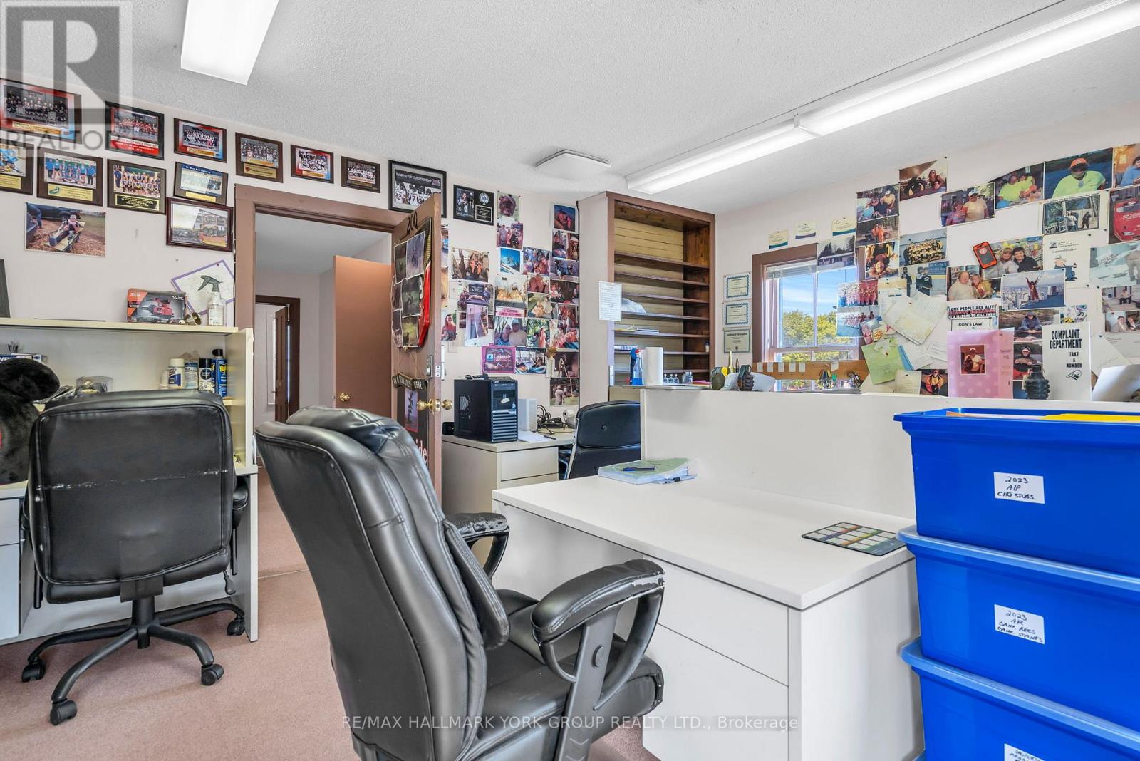 163 High Street, Georgina, Ontario  L0E 1R0 - Photo 37 - N12901388