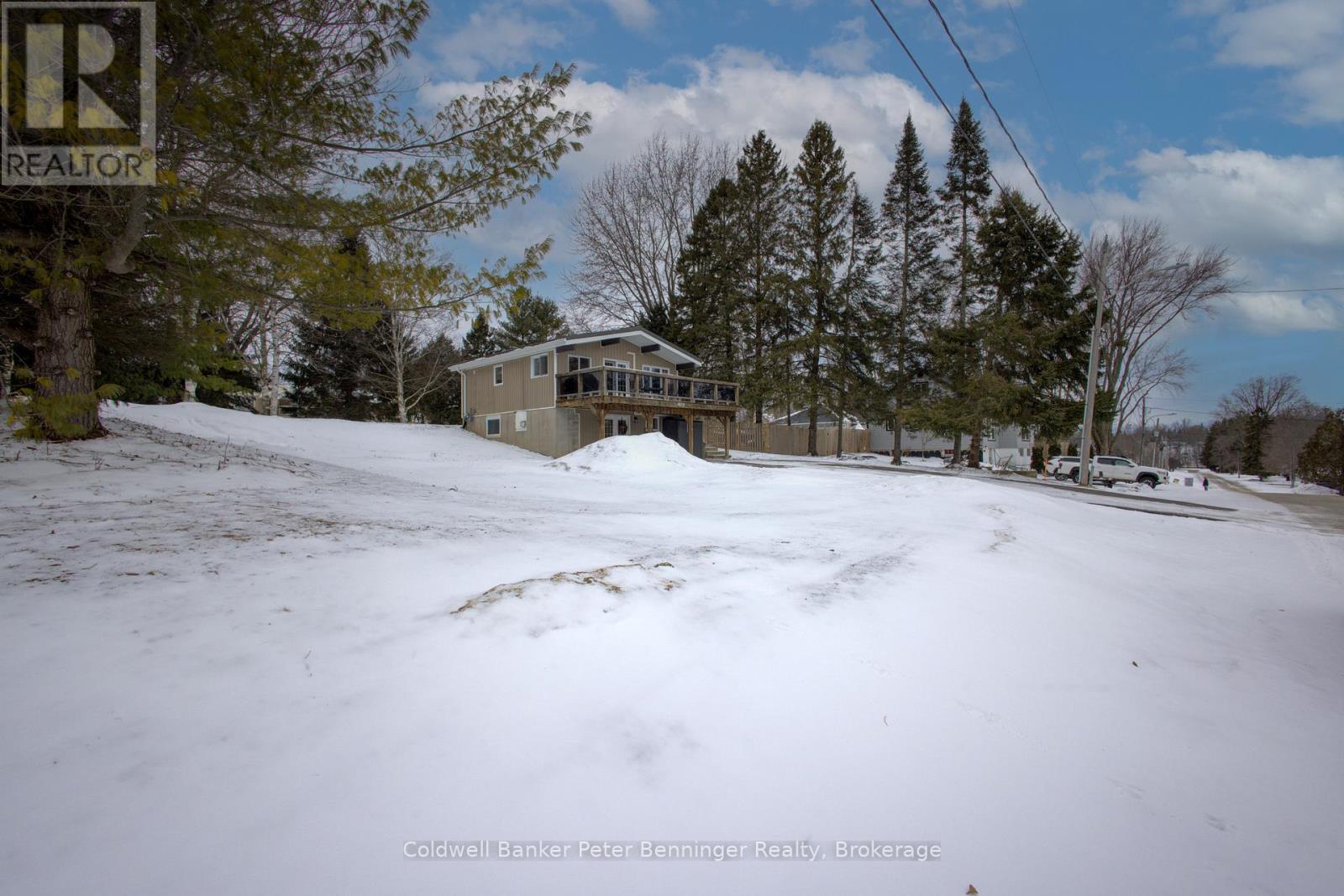 182 James Street, Arran-Elderslie, Ontario  N0G 2N0 - Photo 5 - X12899862