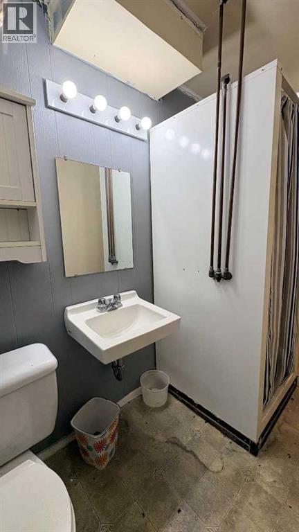 5324 47 Street, Provost, Alberta  T0B 3S0 - Photo 11 - A2282522