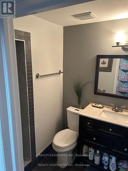 Bsmt - 843 Sparrow Road, Newmarket, Ontario  L3Y 5P7 - Photo 6 - N12899106