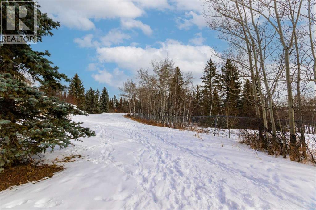 812 Shawnee Drive Sw, Calgary, Alberta  T2Y 1W8 - Photo 46 - A2290265