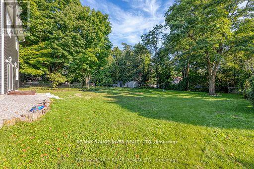 100 Queen Street, Kawartha Lakes (Fenelon Falls), Ontario  K0M 1N0 - Photo 29 - X12901944