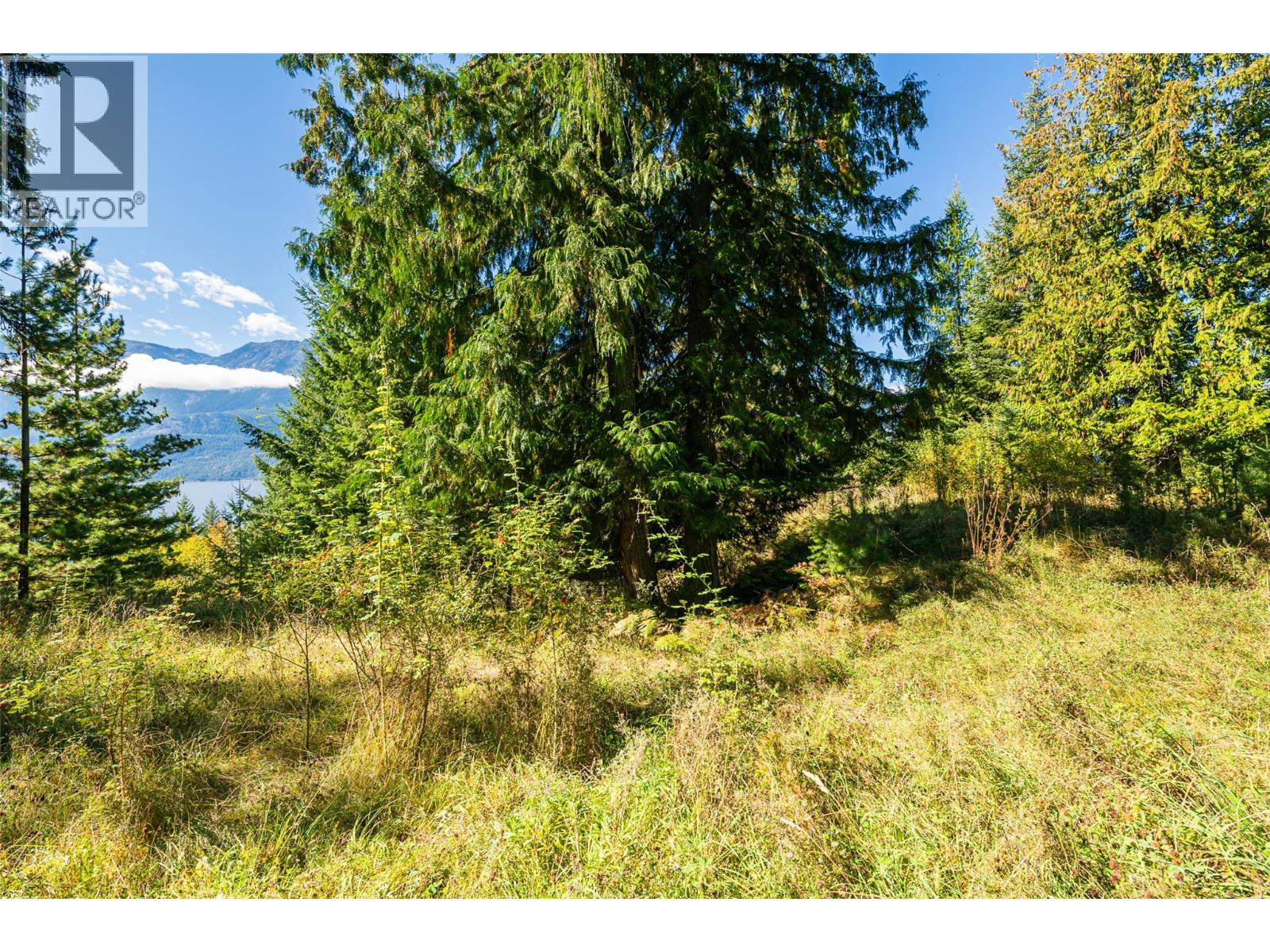 13625 & 13631 Mountain Shores Road, Boswell, British Columbia  V0B 1A0 - Photo 12 - 10364143