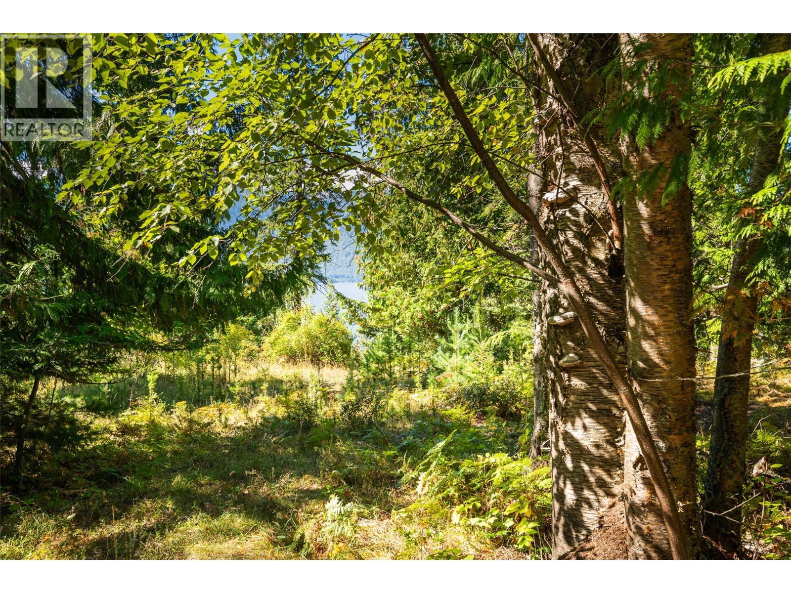 13625 & 13631 Mountain Shores Road, Boswell, British Columbia  V0B 1A0 - Photo 20 - 10364143