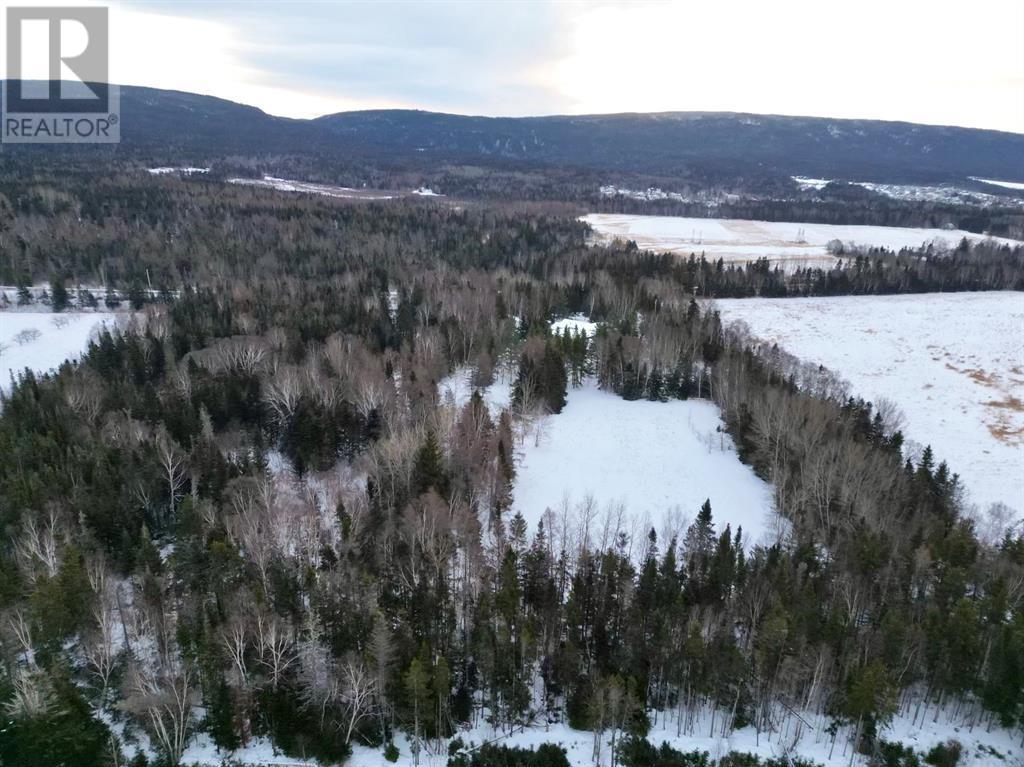 97 C Main Street, PASADENA, Newfoundland & Labrador