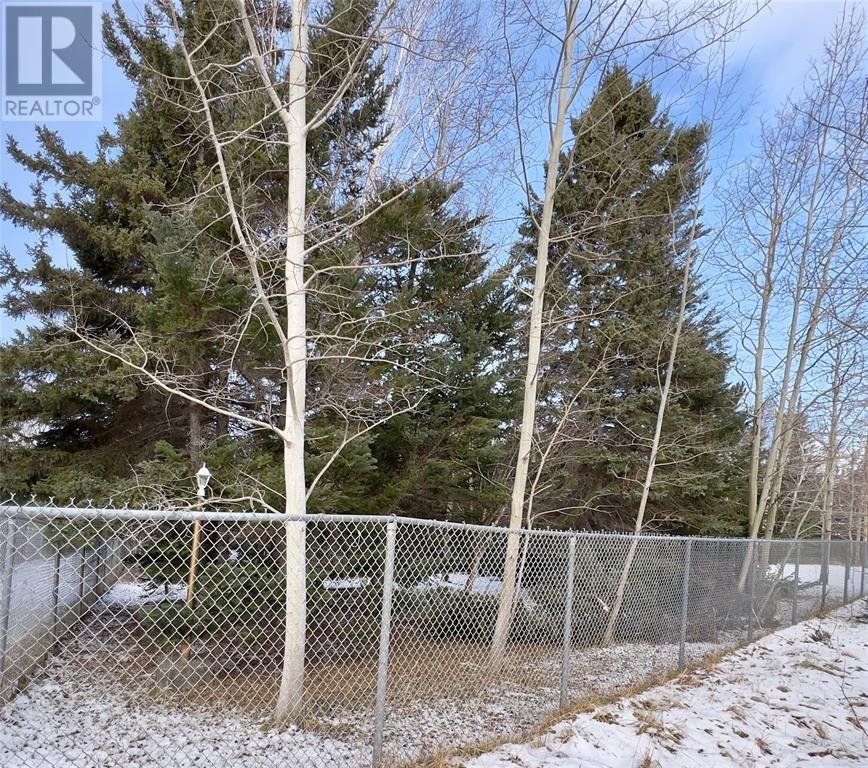 97 C Main Street, Pasadena, Newfoundland & Labrador  a0L 1K0 - Photo 3 - 1295014