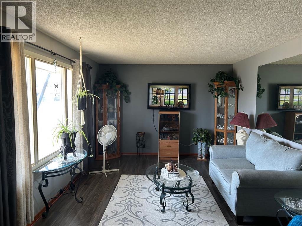 4912 49 Street, Hardisty, Alberta  T0B 1V0 - Photo 8 - A2240602