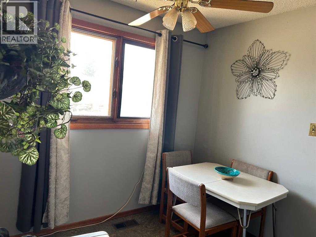 4912 49 Street, Hardisty, Alberta  T0B 1V0 - Photo 7 - A2240602