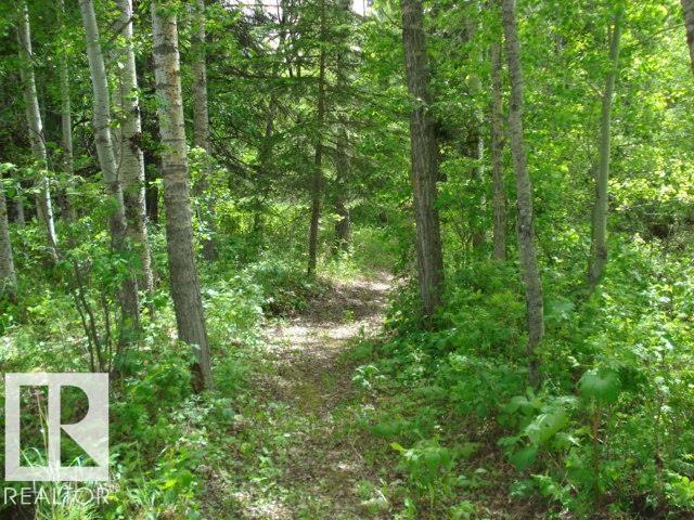 77 Crystal Springs Drive, Rural Wetaskiwin County, Alberta  T0C 2V0 - Photo 17 - E4477389