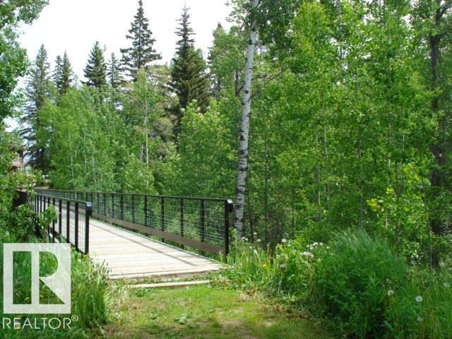 77 Crystal Springs Drive, Rural Wetaskiwin County, Alberta  T0C 2V0 - Photo 18 - E4477389