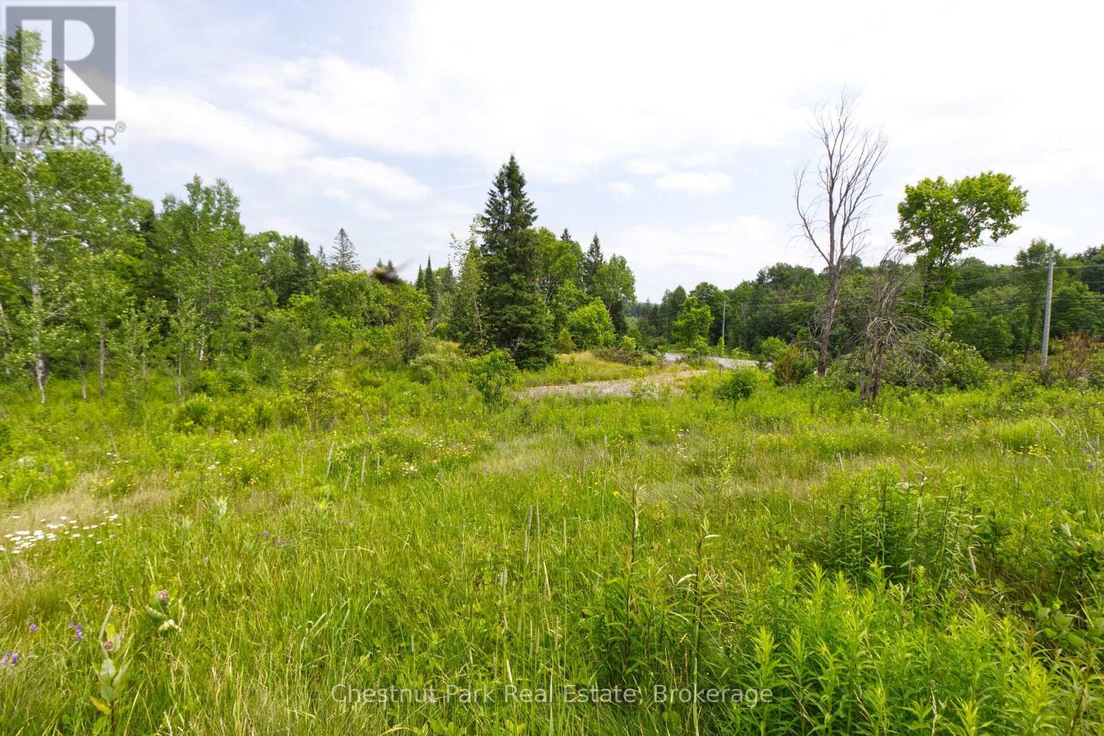 Lot 78 141 Highway, Seguin, Ontario  P0C 1J0 - Photo 2 - X12902062