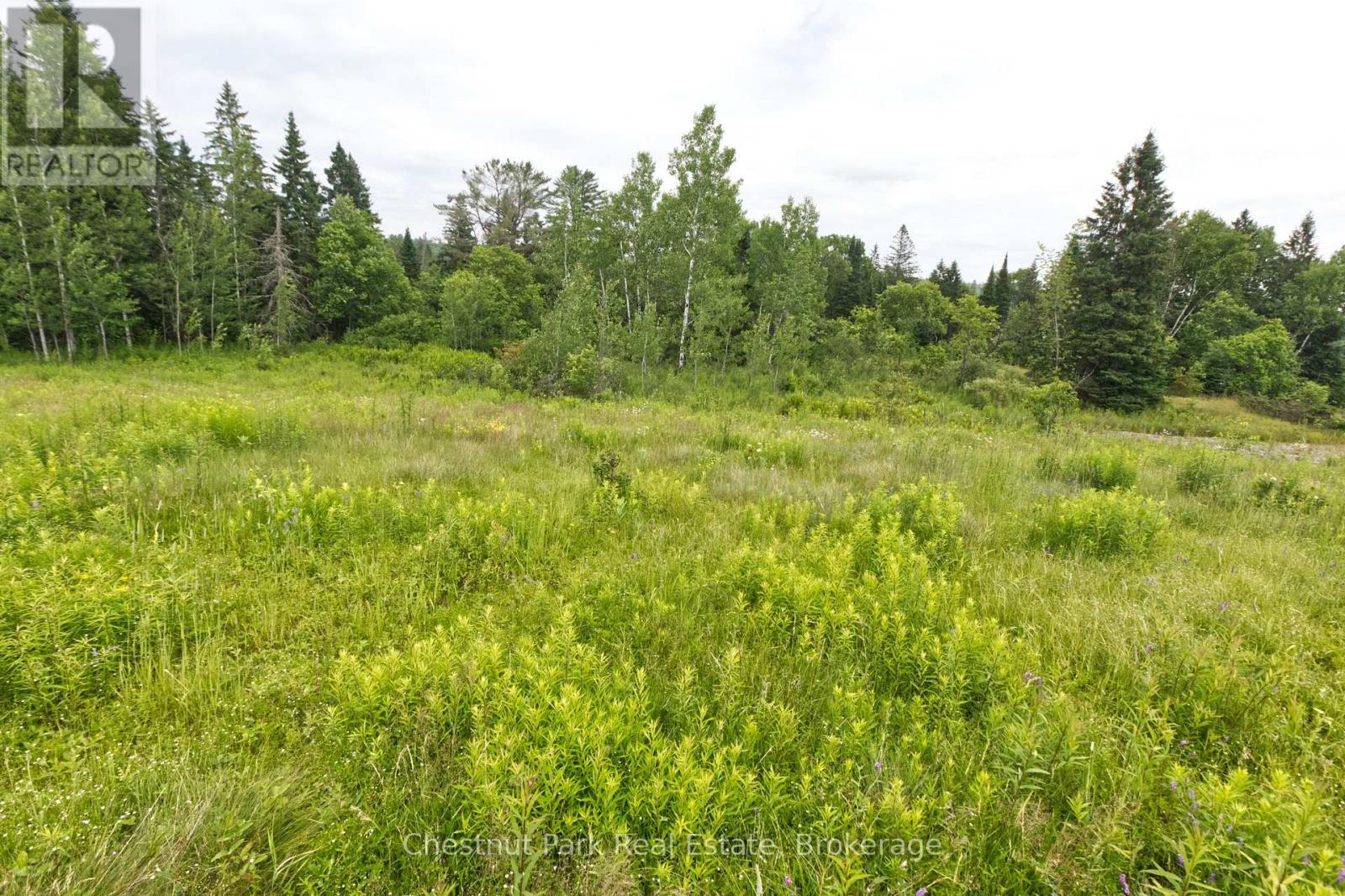 Lot 78 141 Highway, Seguin, Ontario  P0C 1J0 - Photo 3 - X12902062