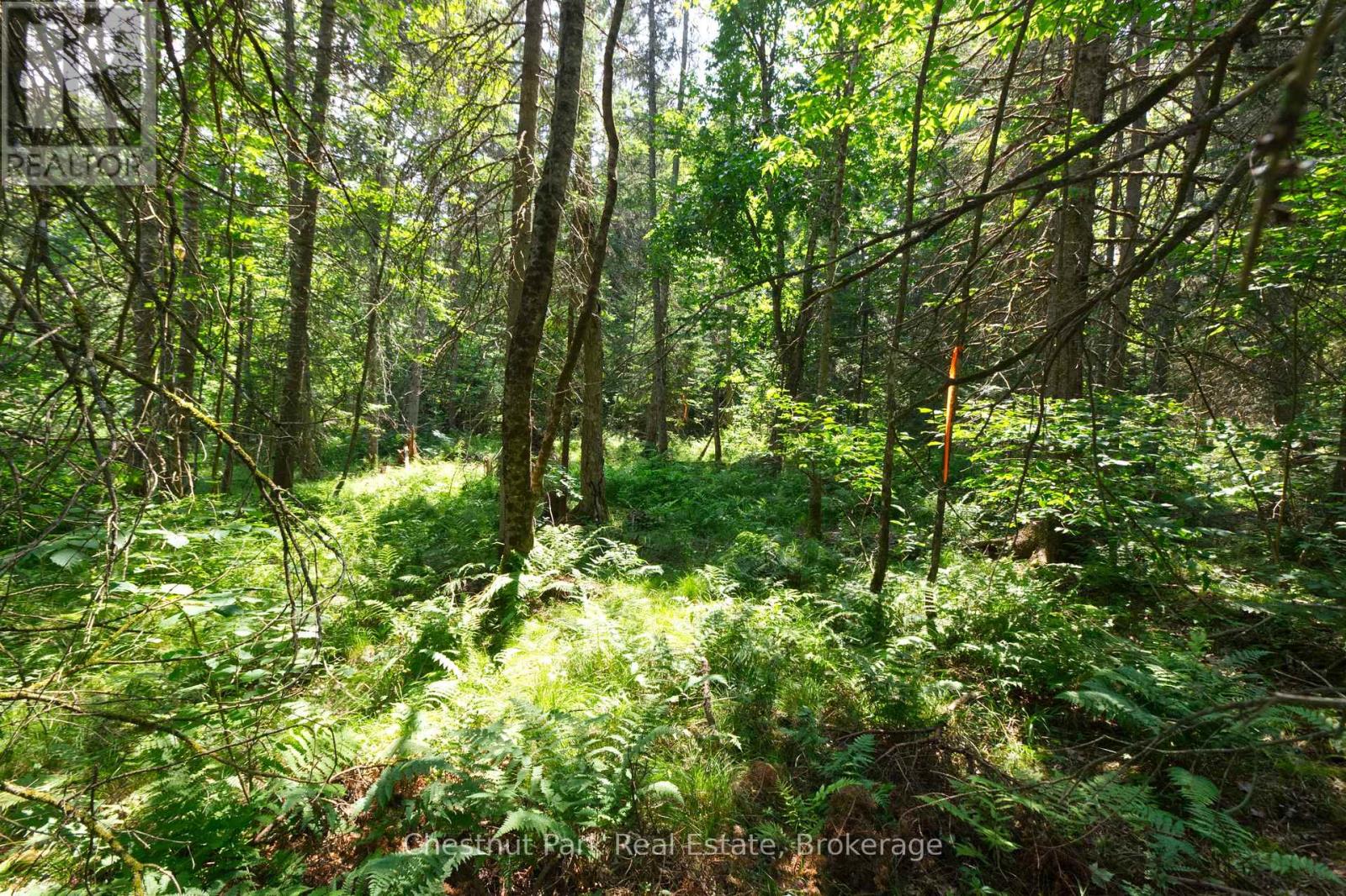 Lot 78 141 Highway, Seguin, Ontario  P0C 1J0 - Photo 5 - X12902062