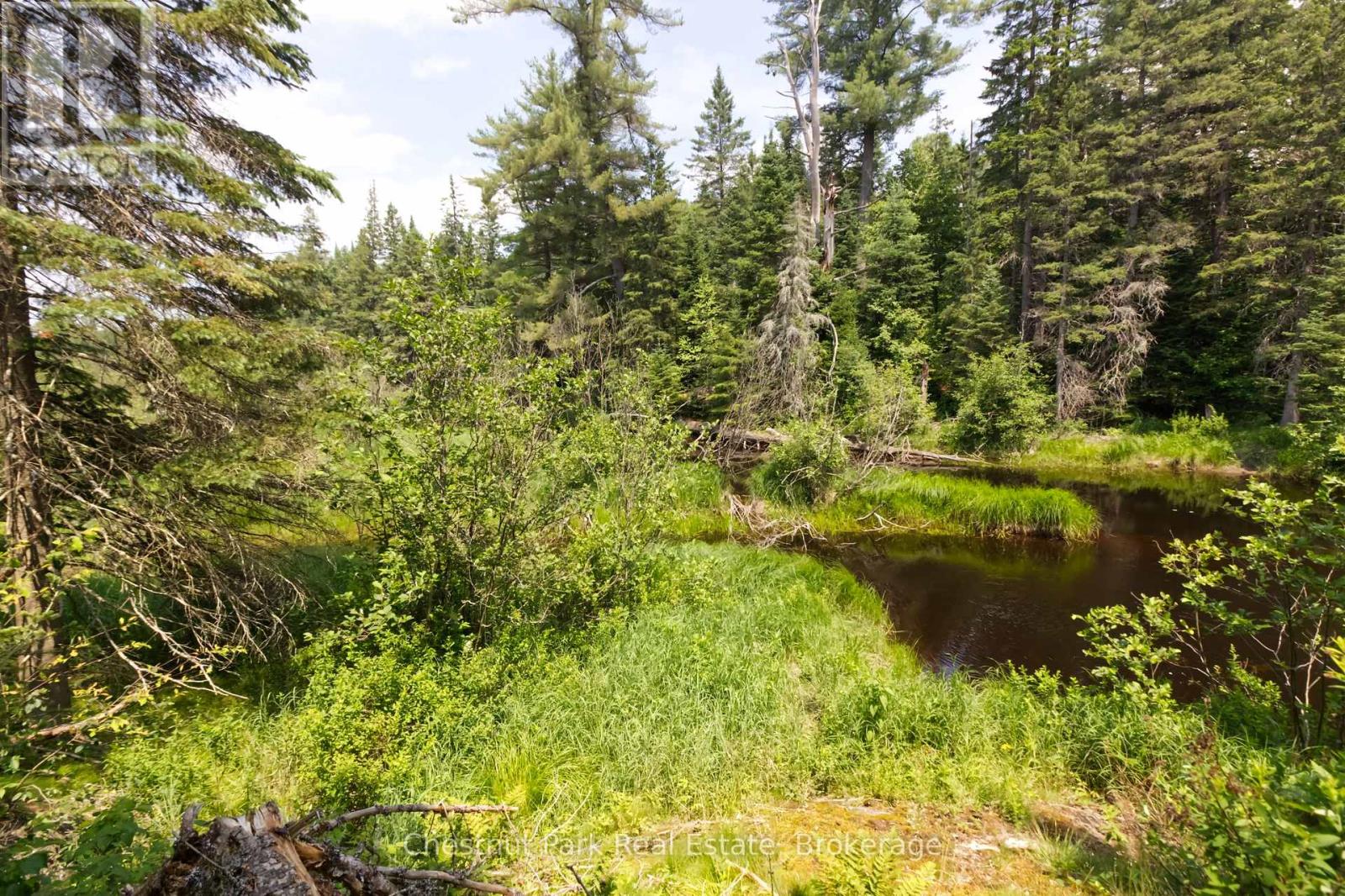 Lot 78 141 Highway, Seguin, Ontario  P0C 1J0 - Photo 8 - X12902062