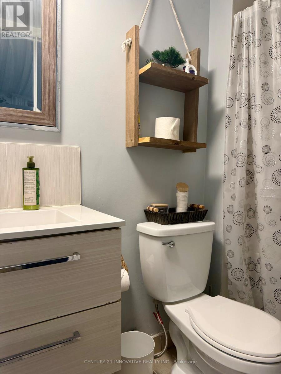 Walkout Basement - 53 Angier Crescent, Ajax, Ontario  L1S 7R8 - Photo 10 - E12754890