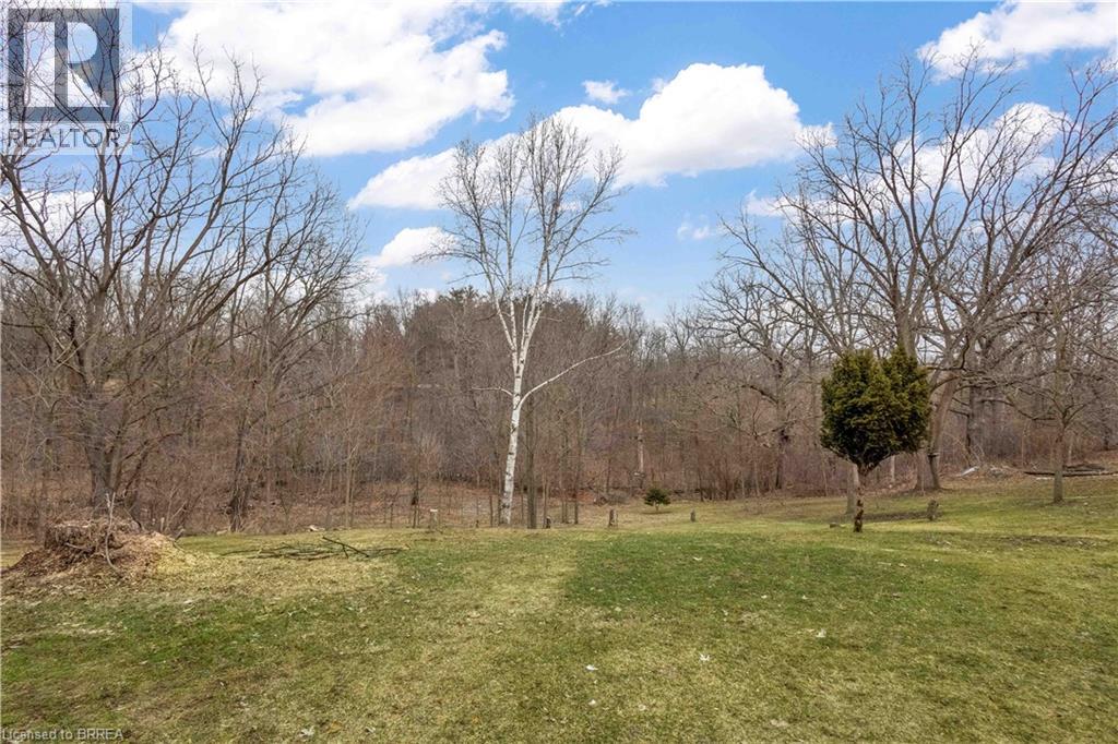 49 Locks Road, Brantford, Ontario  N3S 6Z1 - Photo 41 - 40811783