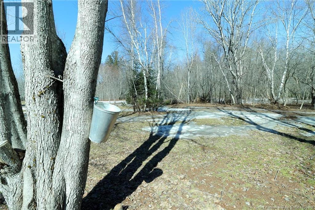4351 Route 10, New Zion, New Brunswick  E4B 1A7 - Photo 44 - NB135476