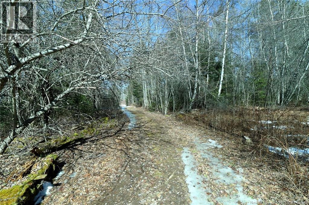 4351 Route 10, New Zion, New Brunswick  E4B 1A7 - Photo 48 - NB135476