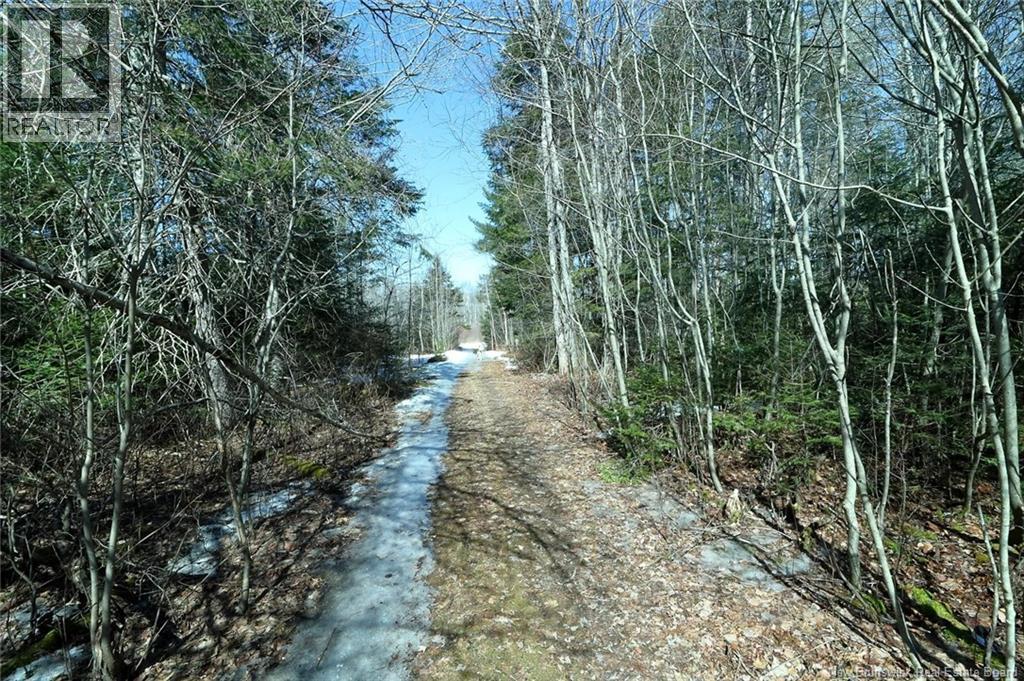 4351 Route 10, New Zion, New Brunswick  E4B 1A7 - Photo 49 - NB135476