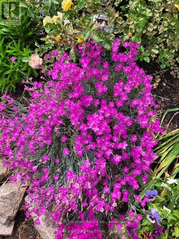 28 Pine Ridge Road, Kawartha Lakes, Ontario  K0M 2L0 - Photo 40 - X12902372