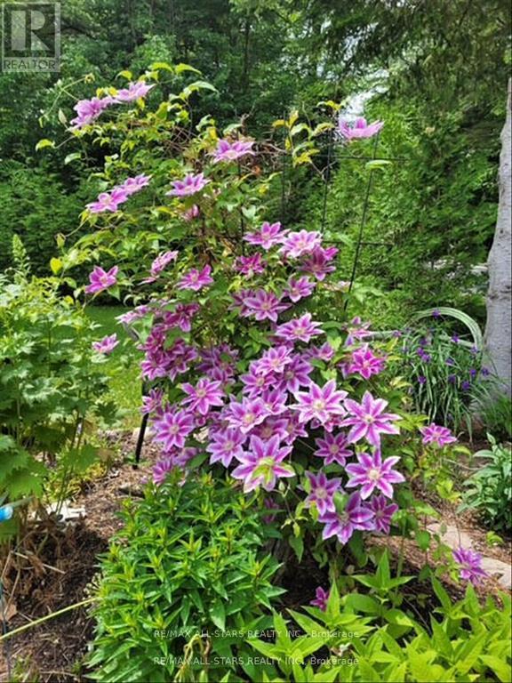 28 Pine Ridge Road, Kawartha Lakes, Ontario  K0M 2L0 - Photo 41 - X12902372