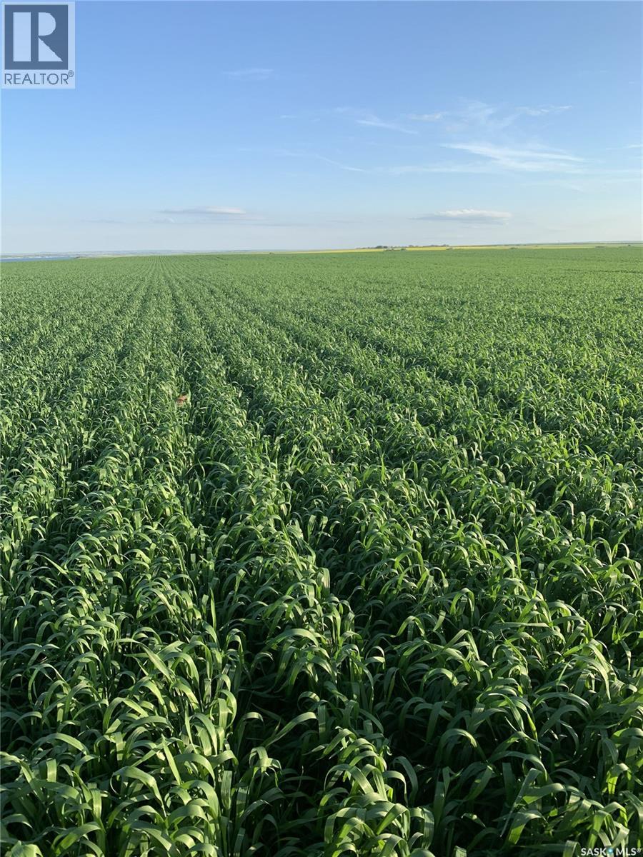 Murdoch Farmland, Coteau Rm No. 255, Saskatchewan