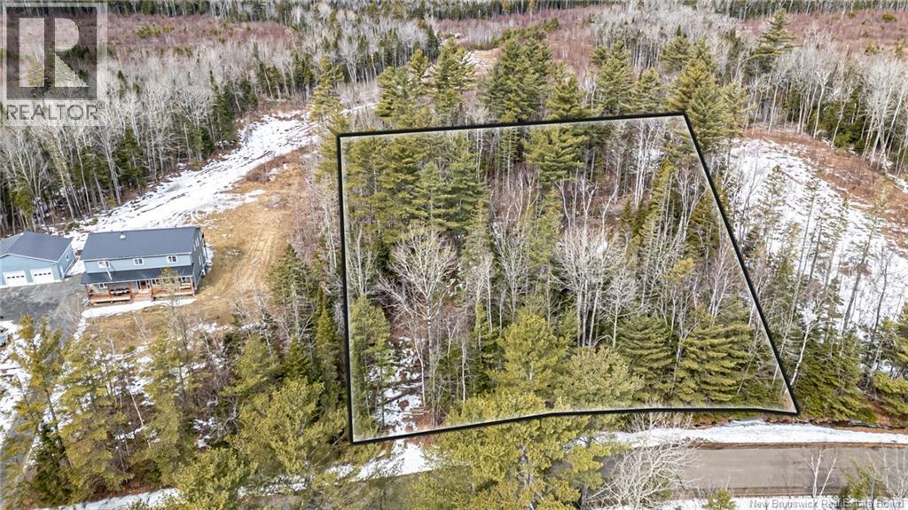 N/a Morgan Lake Road, Noonan, New Brunswick  E3A 7A6 - Photo 4 - NB135481