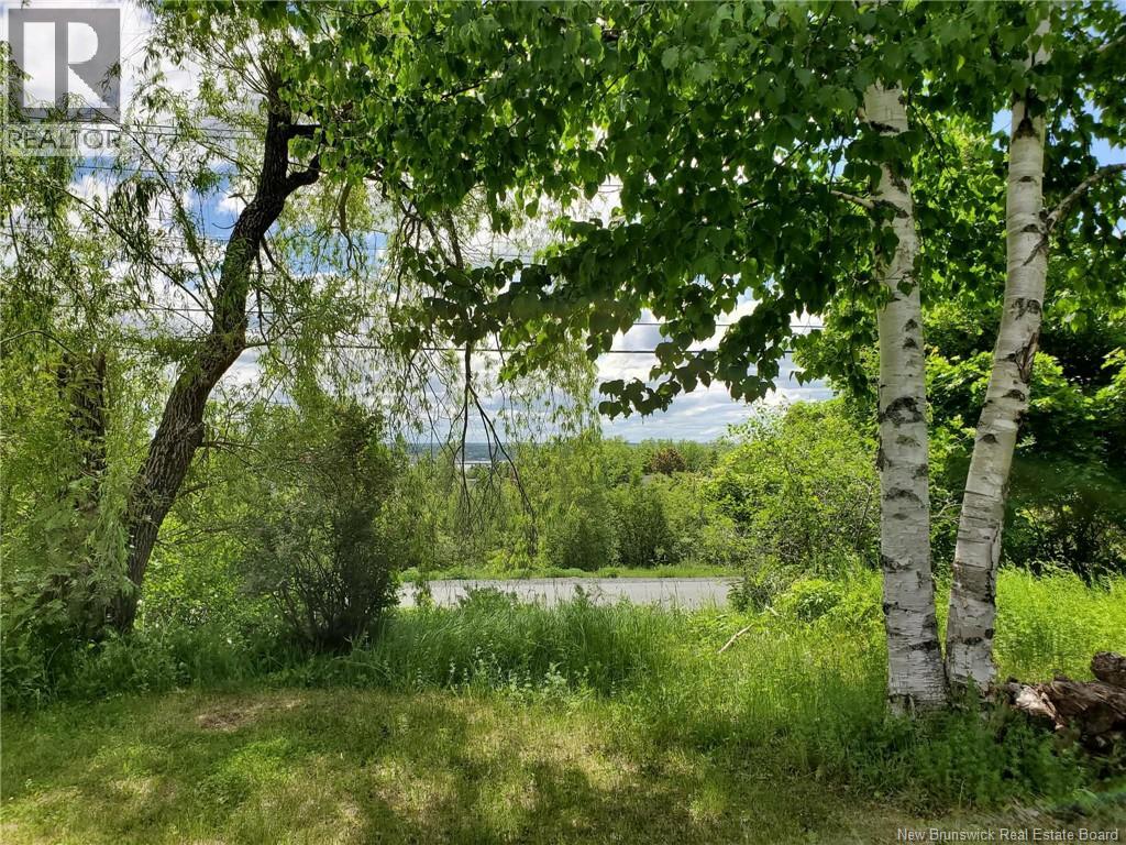 215 Gladstone Avenue, Miramichi, New Brunswick  E1V 1E7 - Photo 4 - NB135325