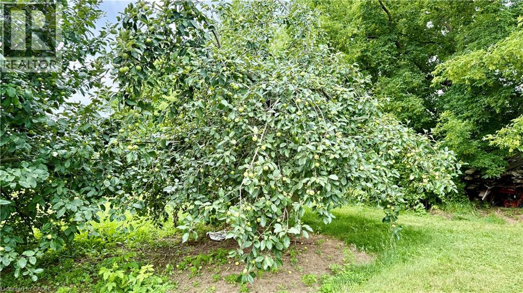 1665 Cockshutt Road, Waterford, Ontario  N0E 1Y0 - Photo 24 - 40810896