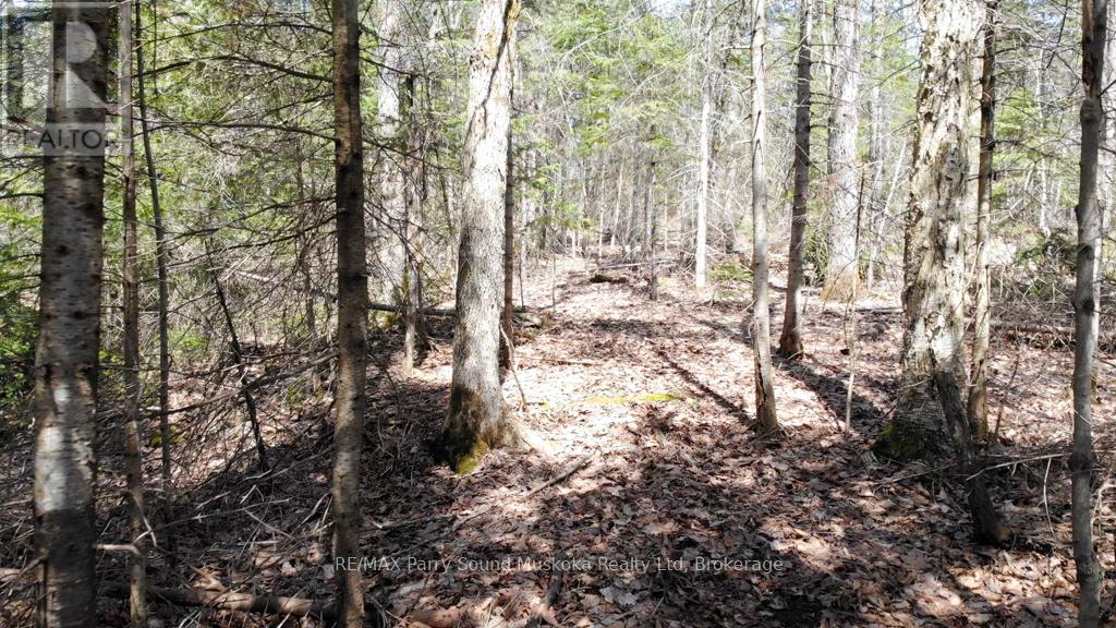 1025 520n Highway, Whitestone, Ontario  P0A 1G0 - Photo 11 - X12902620