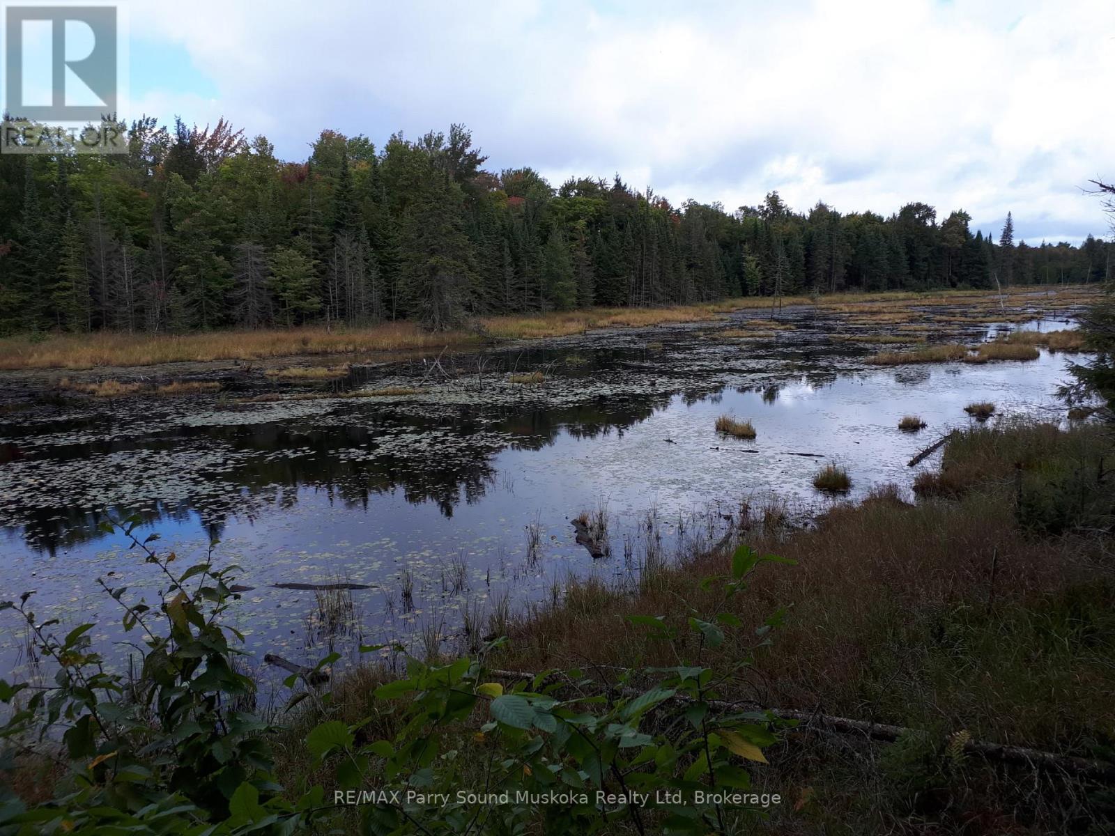 1025 520n Highway, Whitestone, Ontario  P0A 1G0 - Photo 20 - X12902620