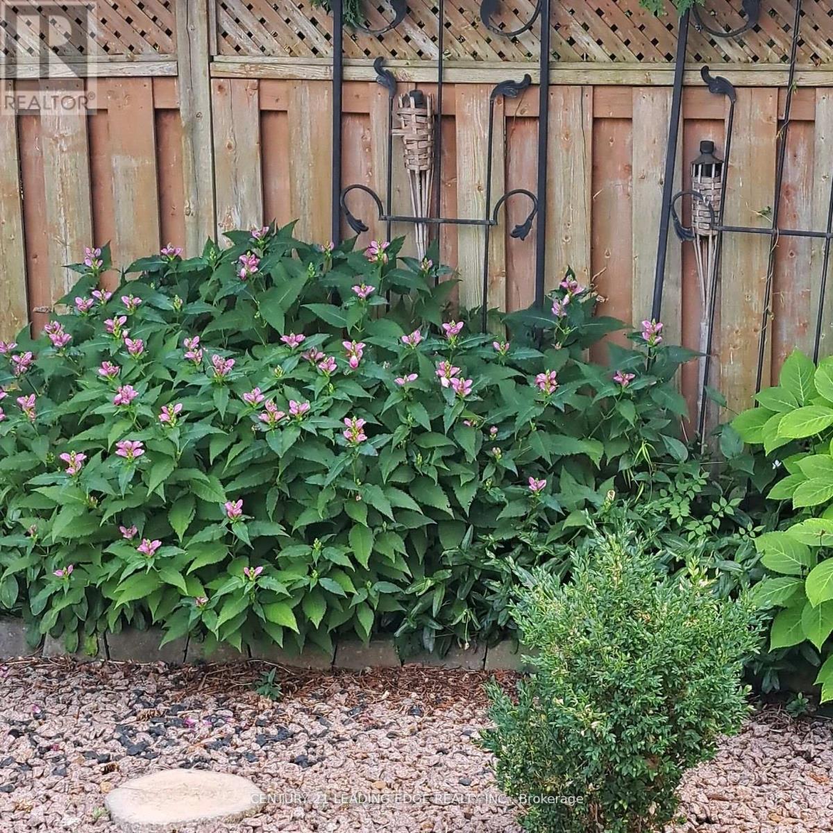 65 Forest Heights Street, Whitby, Ontario  L1R 1X4 - Photo 43 - E12902588