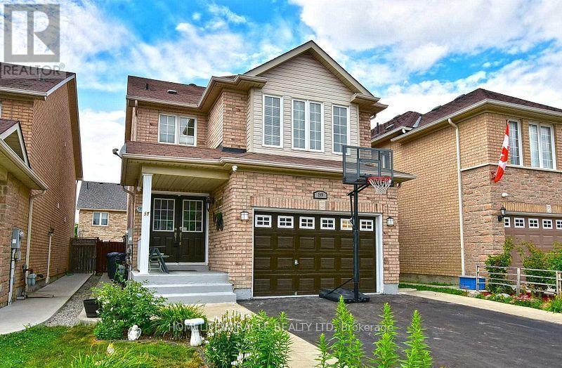 BASEMENT - 59 ROLLINGWOOD DRIVE, Brampton, Ontario