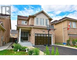 BASEMENT - 59 ROLLINGWOOD DRIVE, Brampton, Ontario