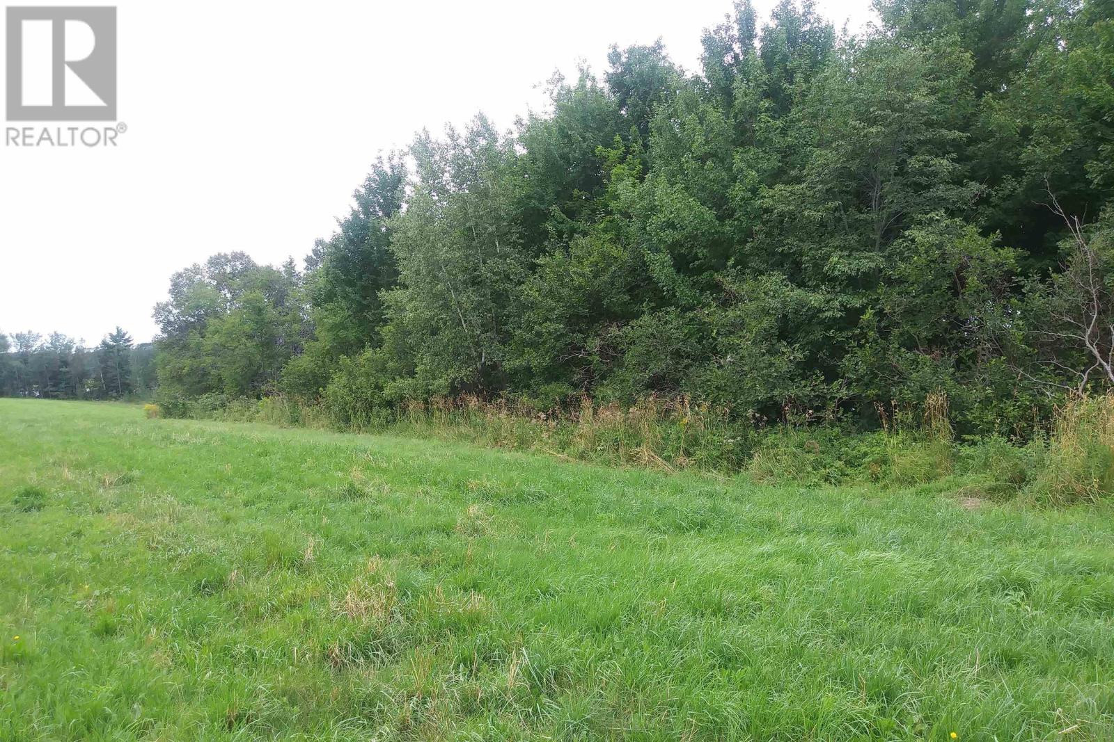 Lot 25-1 Highway 321, Roslin, Nova Scotia  B0K 1K0 - Photo 10 - 202605007