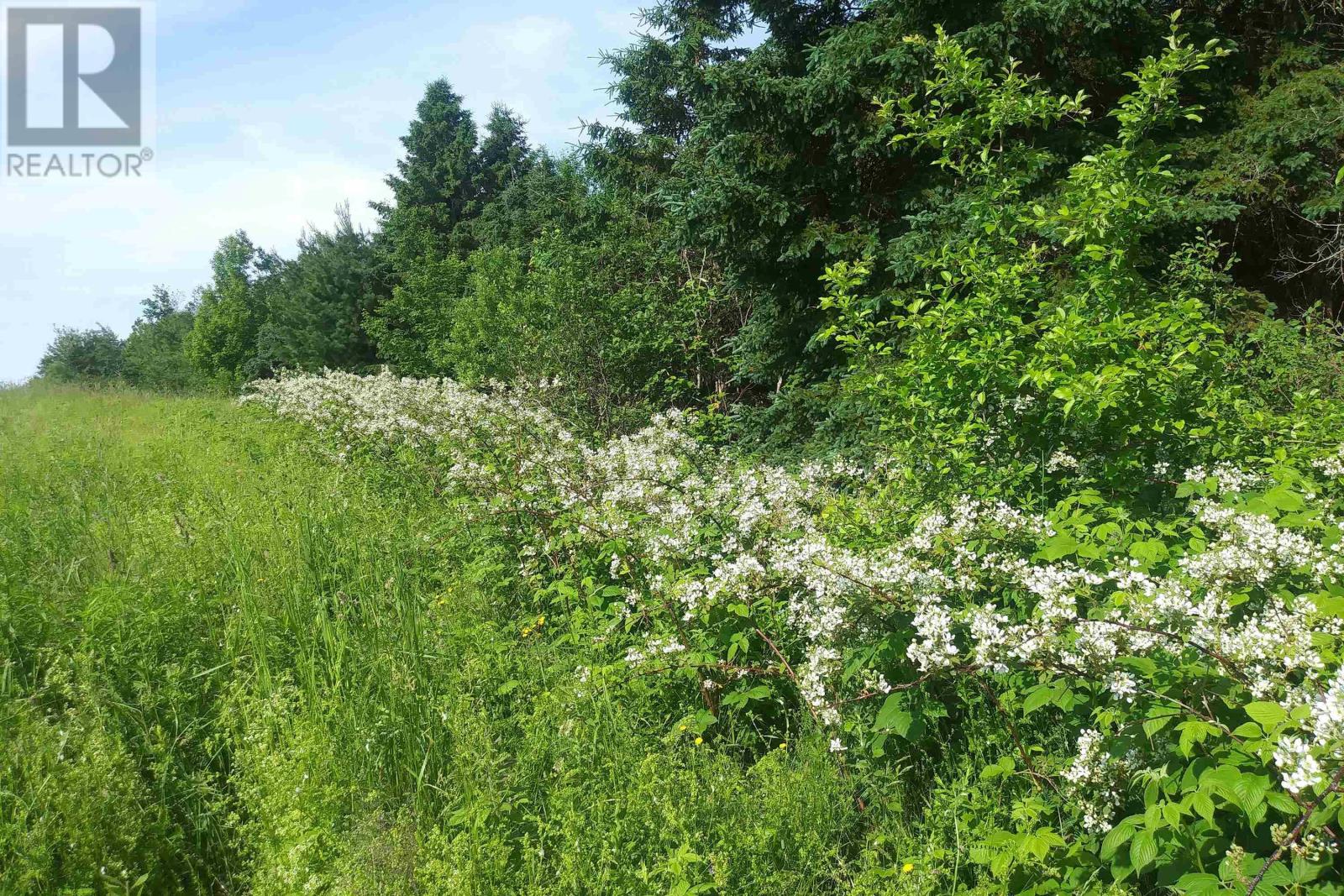 Lot 25-1 Highway 321, Roslin, Nova Scotia  B0K 1K0 - Photo 9 - 202605007