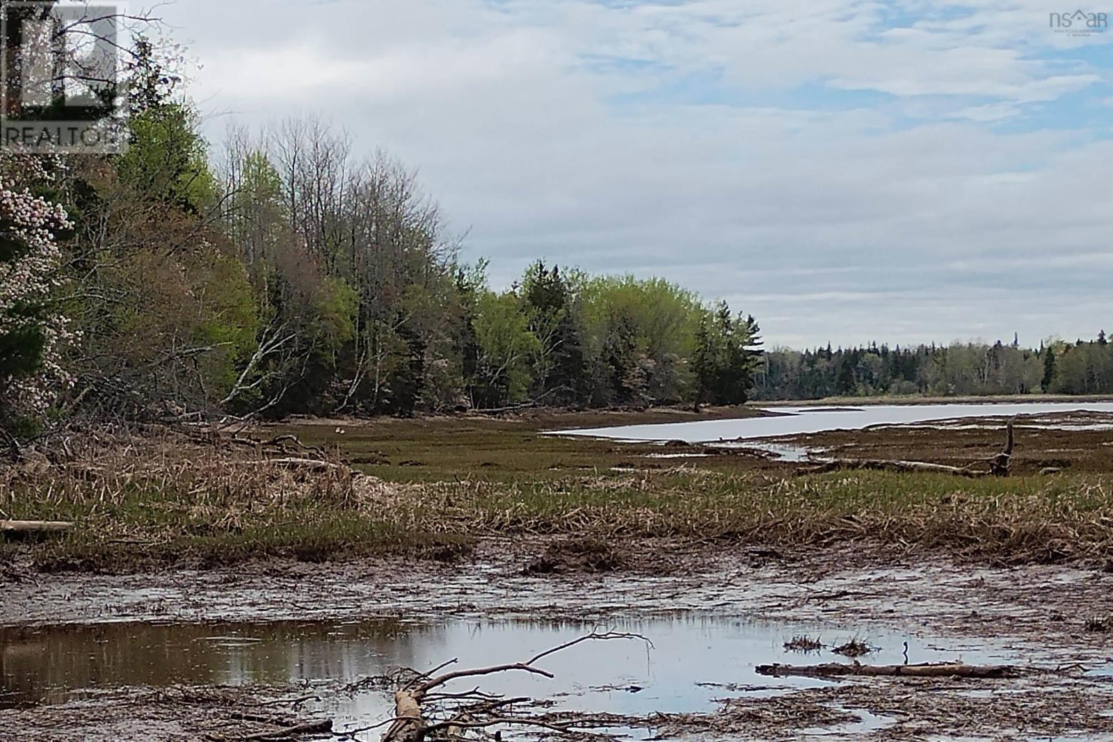 Lot 25-1 Highway 321, Roslin, Nova Scotia  B0K 1K0 - Photo 19 - 202605007