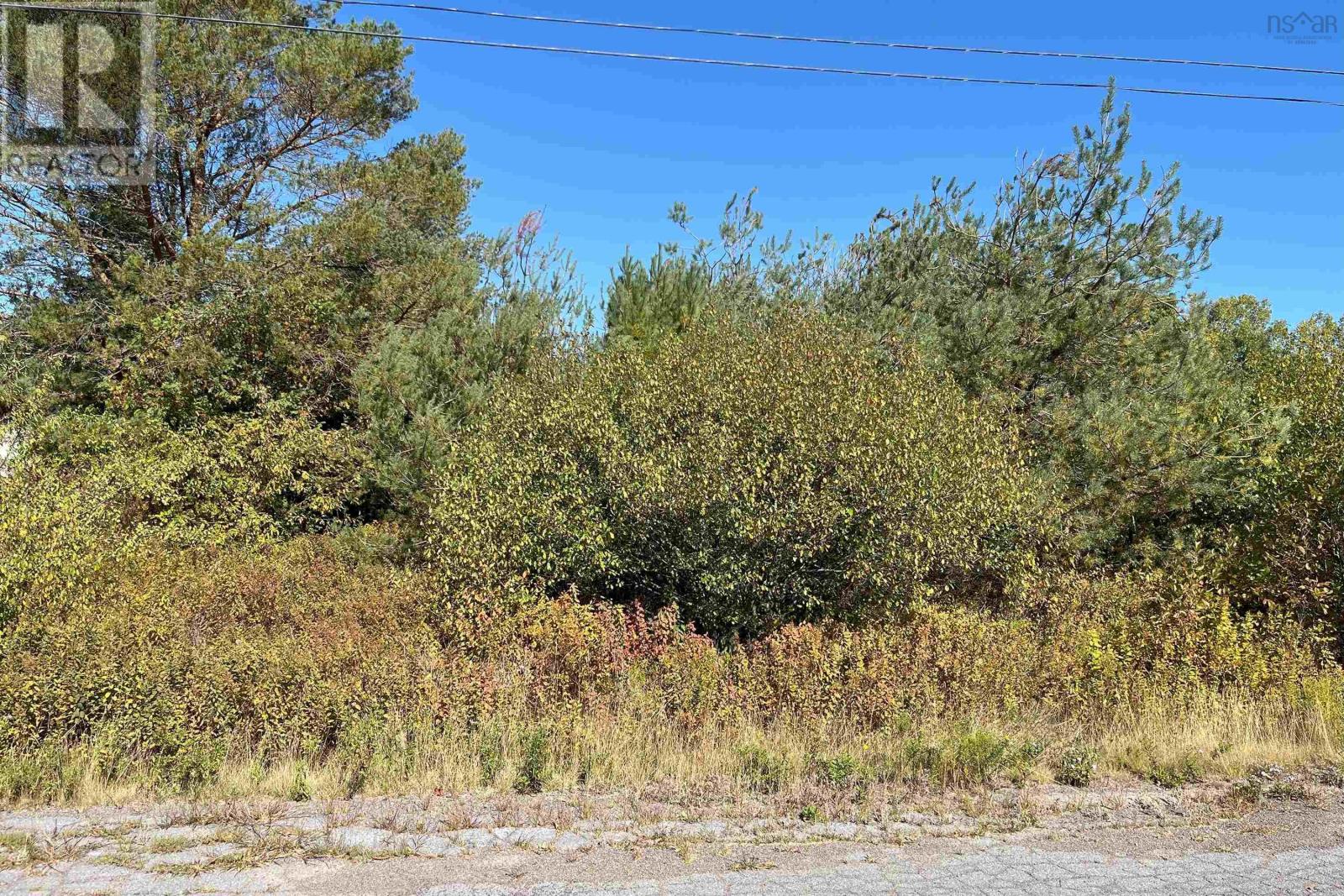 6 Sargent Avenue, Parrsboro, Nova Scotia  B0M 1S0 - Photo 7 - 202605012